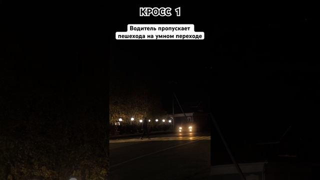 Умный пешеходный переход КРОСС 1! Детали: кросс1.рф