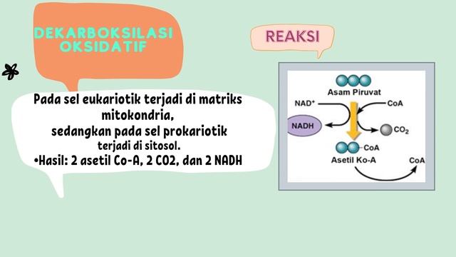 METABOLISME(KATABOLISME) смотреть онлайн