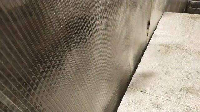 не день, а дурдом на выезде смотреть онлайн