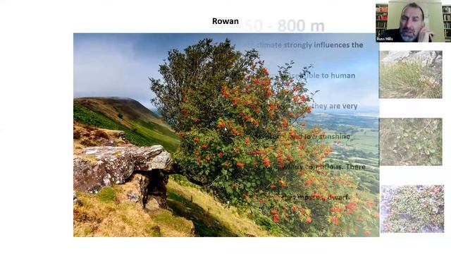 Flora in the Irish Uplands смотреть онлайн