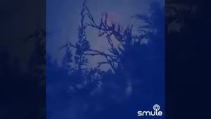 "Разговор" (Попутчик) Виталия Аксенова от @russian_oirad