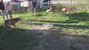 Автодом.Карелия 2020 июнь (встреча с подписчиком)