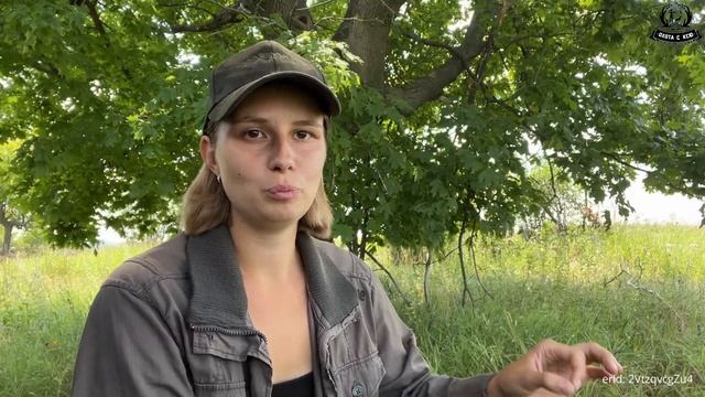 Как использовать электроошейник? / How to use an electric collar? смотреть онлайн