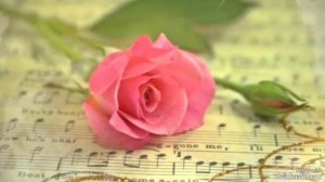 Вечер музыки... Adagio... Albinoni...