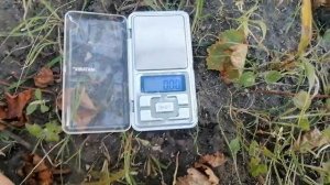 Сорт винограду Благовест-2023 рік.Я такого врожаю не очікував.