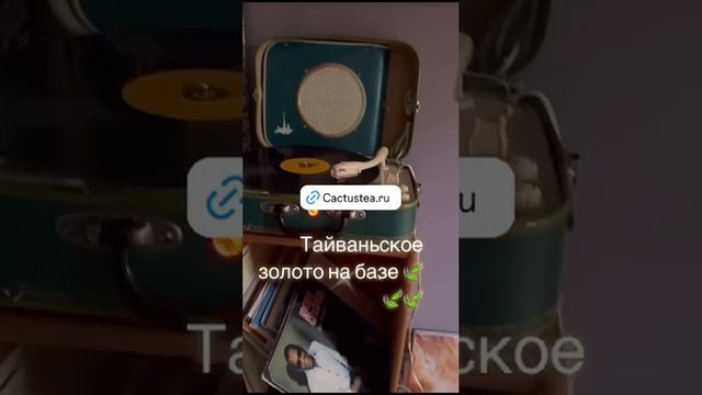 Чайный клуб Cactusstone