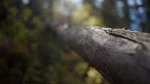 4124897-uhd_3840_2160_24fps