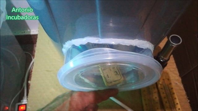 Incubación de huevos de gallina en incubadora casera смотреть онлайн