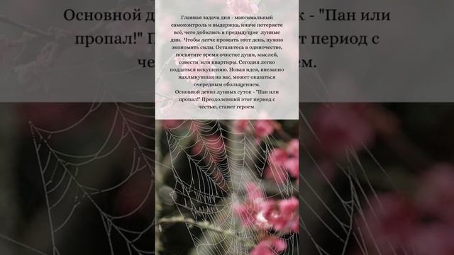 🌺 24 ИЮЛЯ 💫 ЛУННЫЙ КАЛЕНДАРЬ И АСТРОПРОГНОЗ #лунныйдень #лунныесутки #астропрогнознадень #советдня