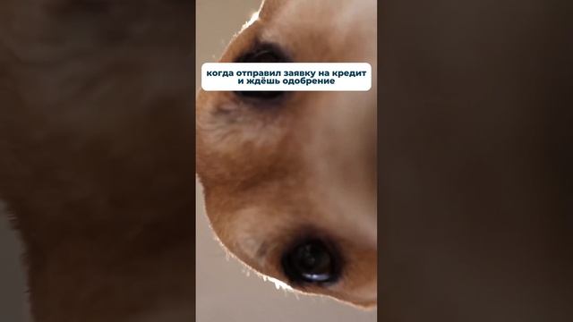 Финополия | Кредитный брокер #финансы #memes #кредитныйброкер #инвестиции #инвестирование #бизнес