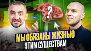 Черви СПАСУТ нашу планету. Как восстановить плодородие почвы