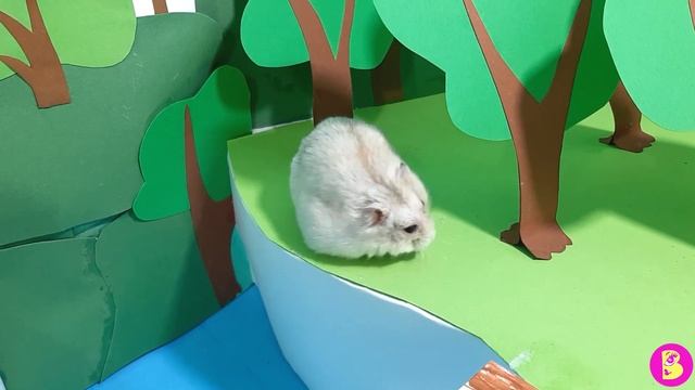 ХОМЯЧКИ ИЩУТ СОКРОВИЩА***КВЕСТ ВО ДВОРЦЕ смотреть онлайн