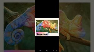 6 сынып Жаратылыстану  Тірі табиғаттағы үдерістер