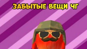 Забытые вещи чг