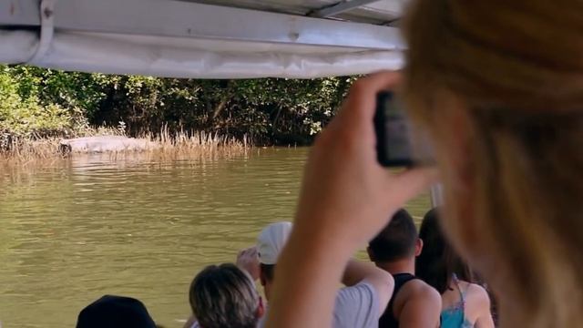 FNQ Nature Tours: Our Story | Australian Wildlife Journeys смотреть онлайн