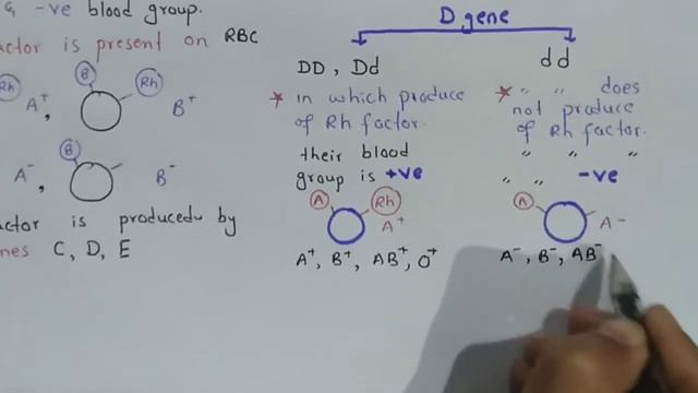 Rh blood group system | Class 12 Biology