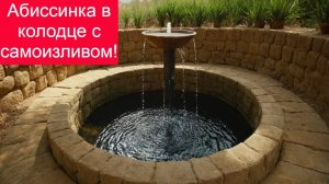 Абиссинка в колодце на самоизлив! Углубление колодца.