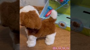 Щенок на батарейках