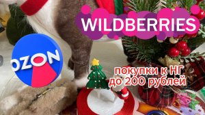 ОБЗОР ПОКУПОК К НОВОМУ ГОДУ ДО 200 РУБ.(wildberries и ozon)