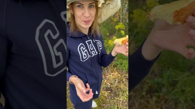 Мед с любовью из Омска