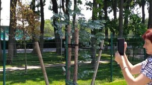 Братья Карамазовы😁😁😁