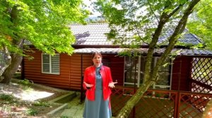 Плюсы и минусы каркасного дома.