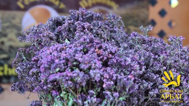 Ярмарка отборного мёда в Новосибирске 2017. Пасека Ивановых. смотреть онлайн