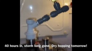 PRESSURE FERMENTATION Double IPA 10,3% in 7 days, served directly from fermzilla