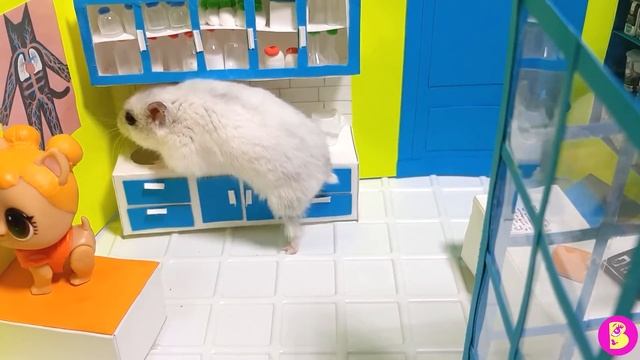 МИНИ КЛИНИКА** ХОМЯЧКИ У ВЕТЕРИНАРА** ЧТО СЛУЧИЛОСЬ С ФОКСИ? смотреть онлайн