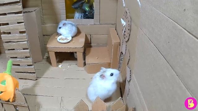 ХЕЛЛОУИН 2/ КВЕСТ для ХОМЯЧКОВ В ДОМЕ С ПРИВИДЕНИЯМИ