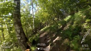 Исследование коробковского сада