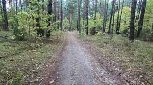 На велосипедах по Рязанской области / Тропа Паустовского / Втроём веселее!