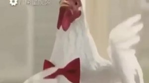 Кукарику петух поет!