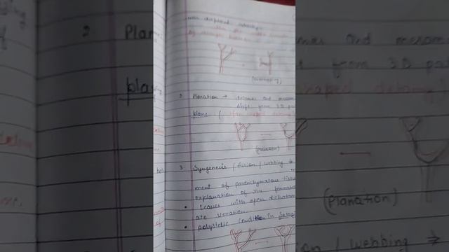 telom theory biology neet class