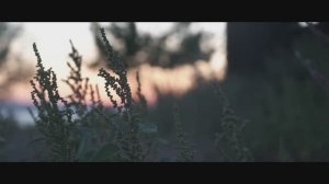 ЗАБРОШЕННАЯ УСАДЬБА НА ОКЕ | film sony a7iii lens 24-70 f4 low light