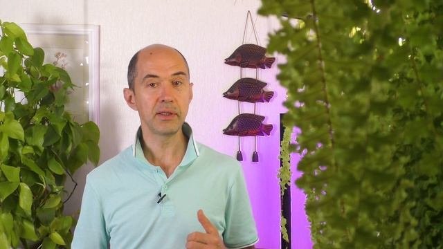Удобрение для сенполий. Теория и практика. Большой обзор
