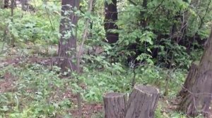 Mennonites German in Ukraine Клебан Бык Немцы Меннониты Донецкая обл