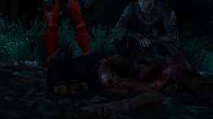 The Witcher 3 Диалог Геральта и Региса