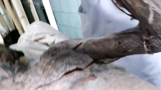 Мышцы смотреть онлайн