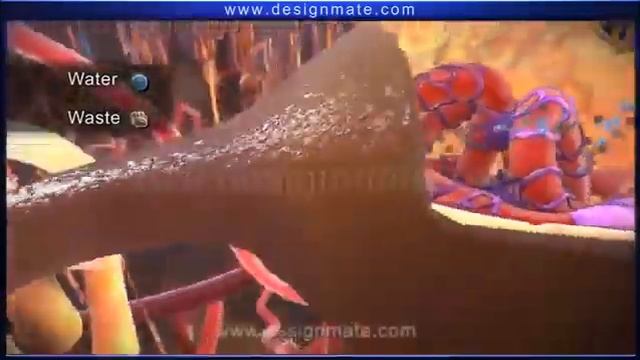 Nefronning tuzilishi va Siydik hosil bo'lishi / Нефроннинг тузилиши ва сийдик хосил булиши