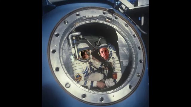 Fat cock у gymа (right version Трава у дома) смотреть онлайн