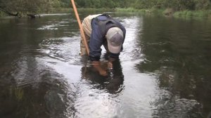 Biological Monitoring-Invertebrate Sampling