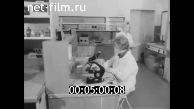 1977г. зверосовхоз Кондопожский. лаборатория физиологии пушных зверей. Берестов В.А.
