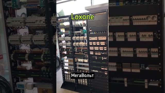 Умный дом loxone #мегавольт #умныйдом #loxone #сборкащитов #электрощит