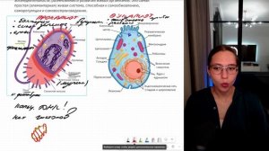 Строение прокариотической и эукариотической клетки. ЕГЭ по биологии