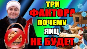 Три ФАКТОРА, почему НЕ БУДЕТ яиц.