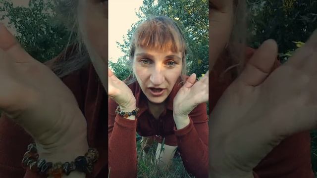 Интроекция, проекция, идентификация как защитные механизмы