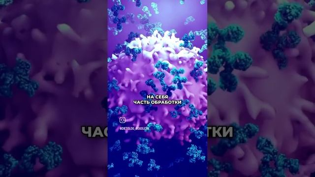 воспаление лимфо узлов.#психология #здоровье #coralclub #coralmine #доктор #саморазвитие смотреть онлайн