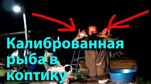 Копчу рыбку откачиваю воду