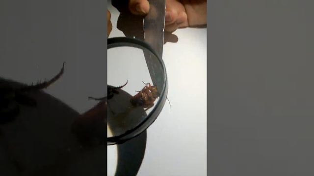 VID 20210930 113054 смотреть онлайн